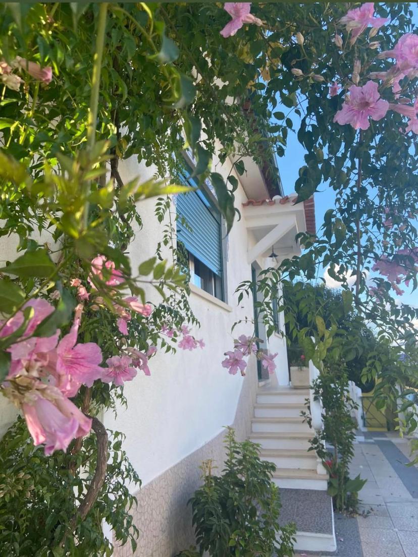 Гостевой дом Casa De Azzancha Azinhaga Экстерьер фото